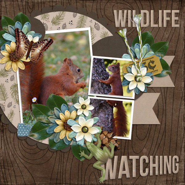 Wildlife
