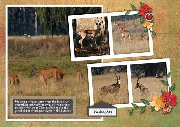 Wildlife
