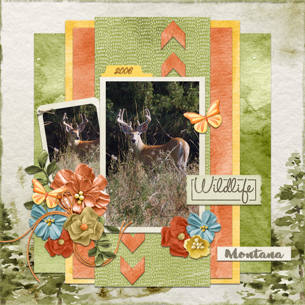 Wildlife