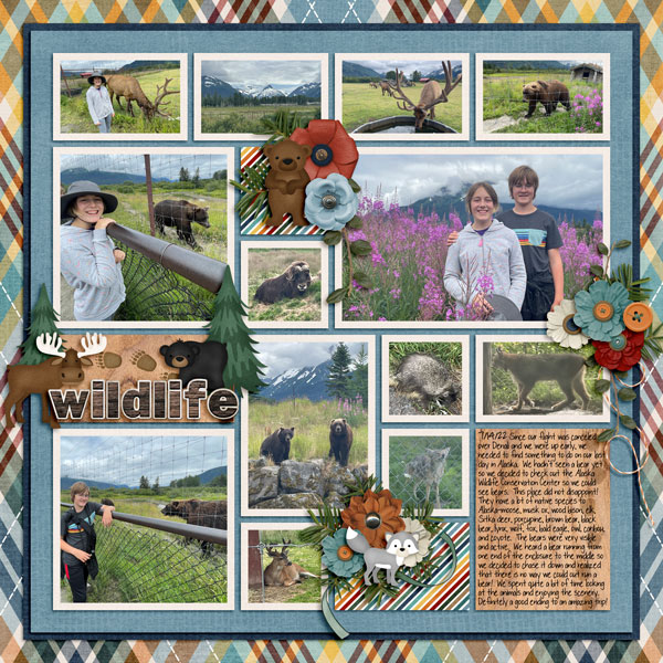 Wildlife