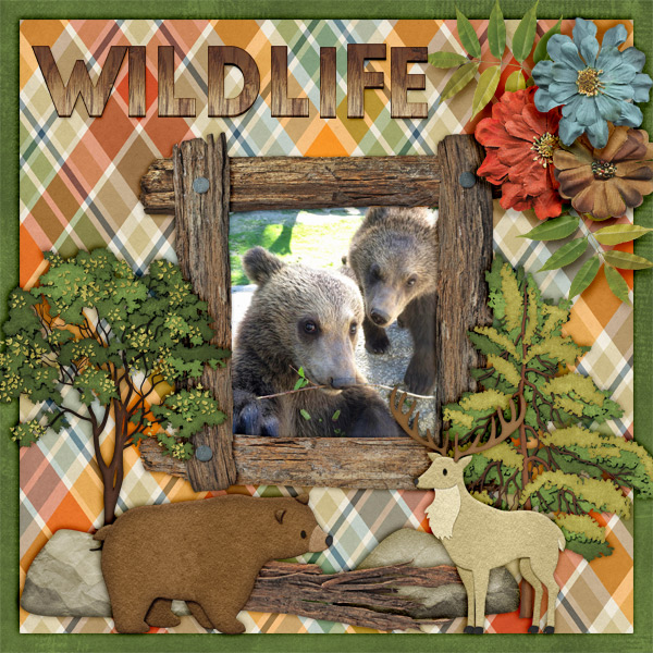 Wildlife5