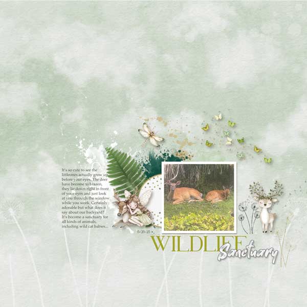 WildlifeSanctuary.jpg