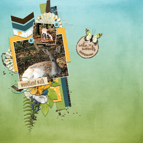 Wildpark 2014
