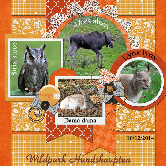 Wildpark Hundshaupten