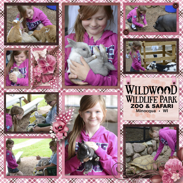 Wildwood Left