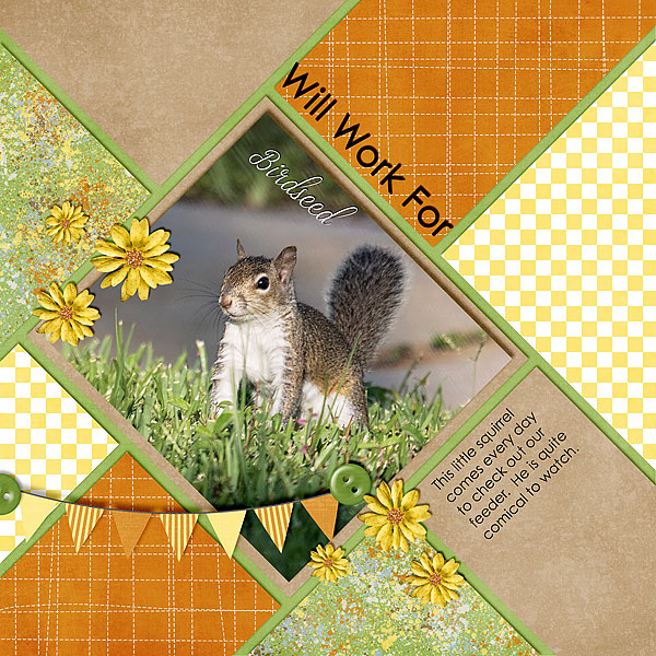 Will Work For Birdseed