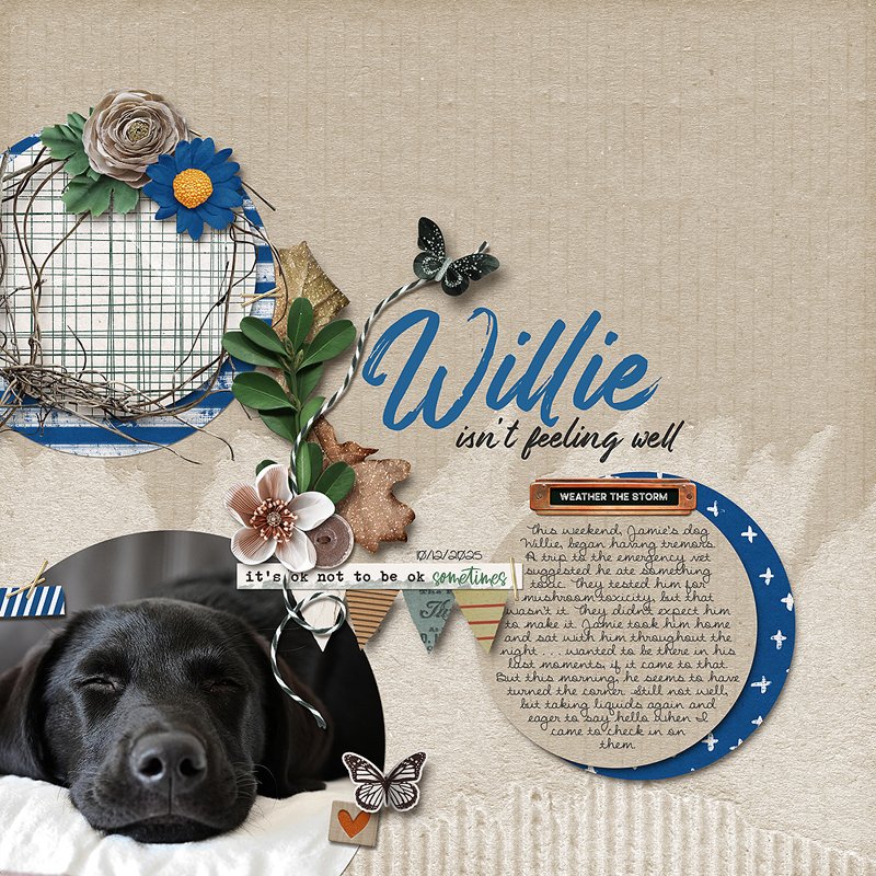 Willie.jpg