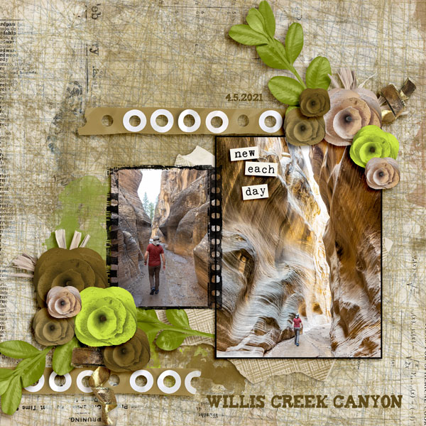 Willis Creek Canyon