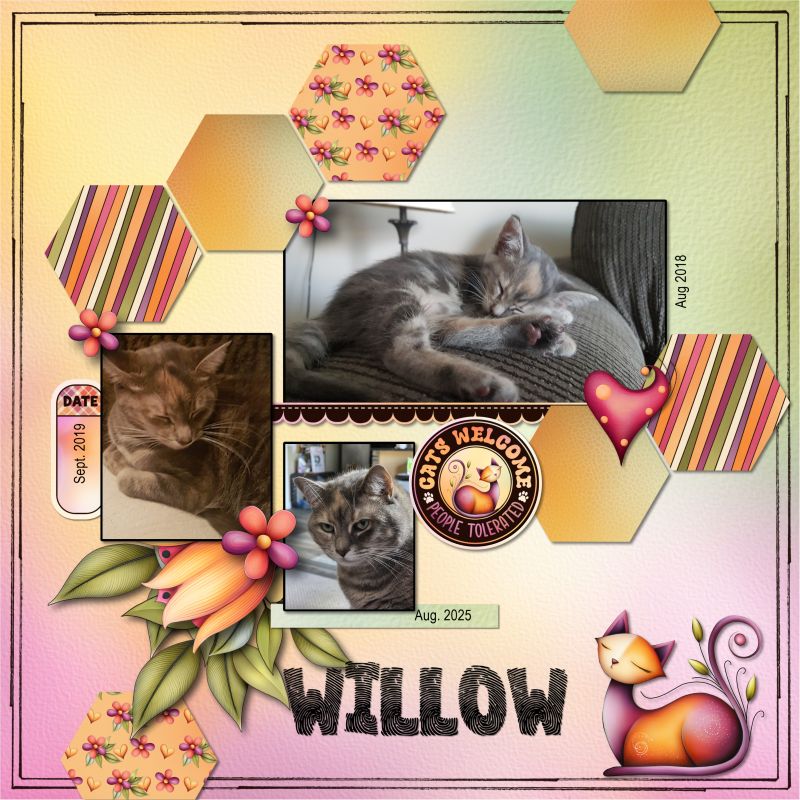 Willow Bean