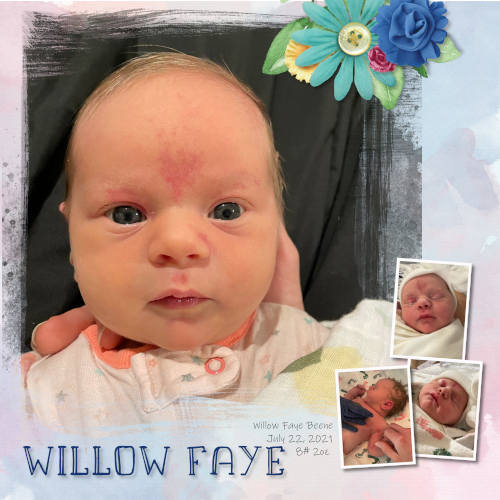 Willow Faye