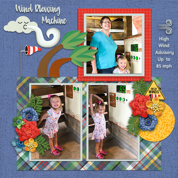Wind Blowing Machine Palmer