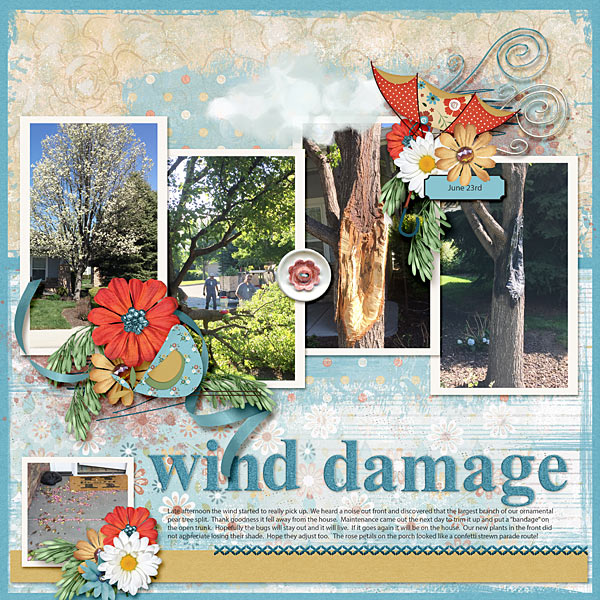 Wind Damage