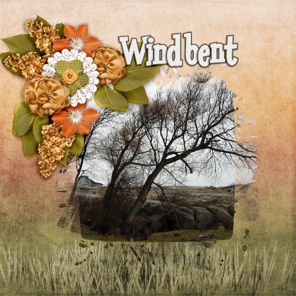 Windbent
