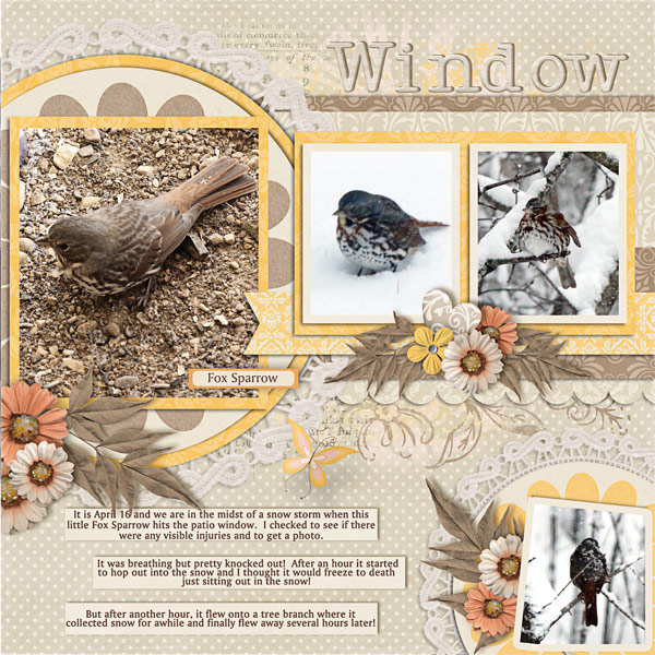 Window Crasher 2