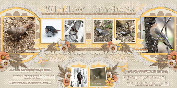 Window Crashers