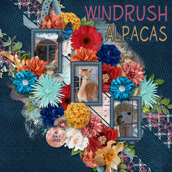Windrush Alpacas
