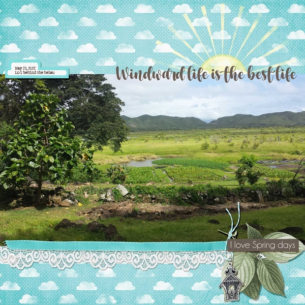 Windward Life