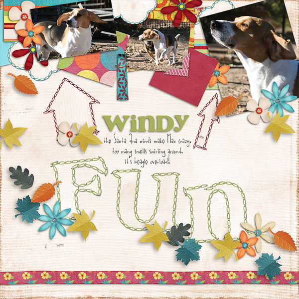 Windy Fun