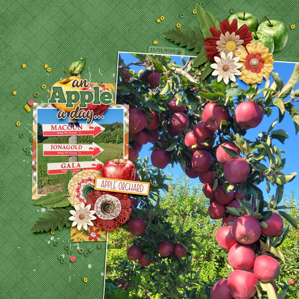 Windy Hill Apple Pickin