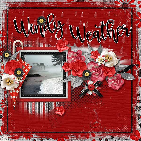 Windy Weather