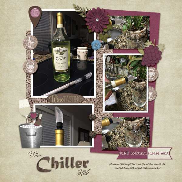 Wine Chiller Stick