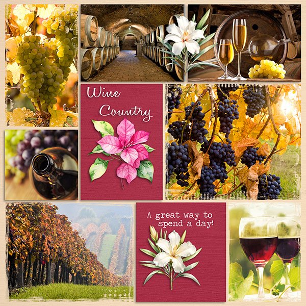 Wine Country.jpg