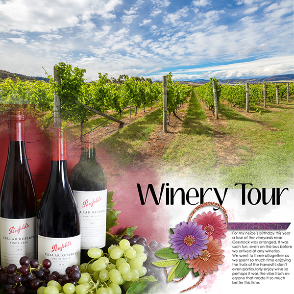 Winery Tour