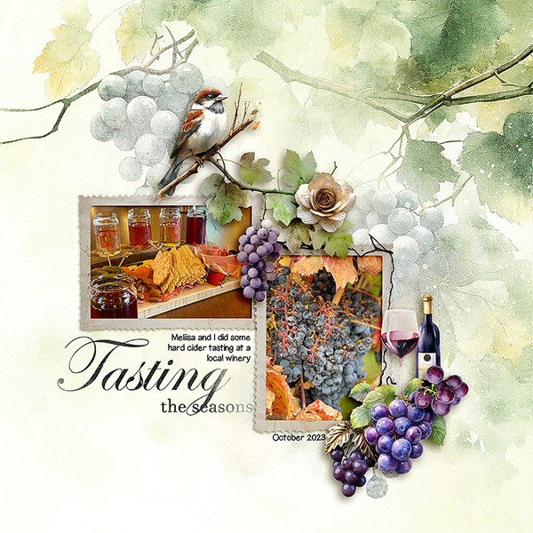 Winery-trip