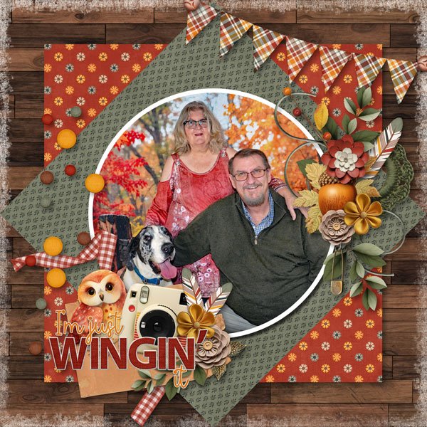 Wingin It