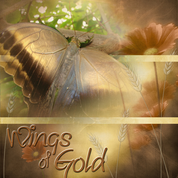 Wings of Gold