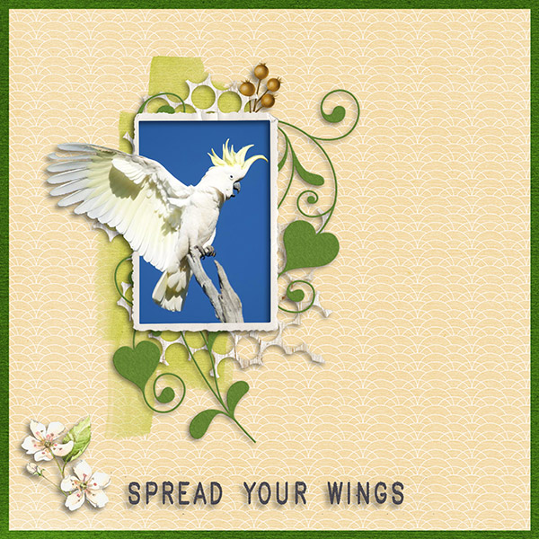 Wings