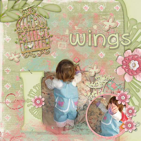 wings