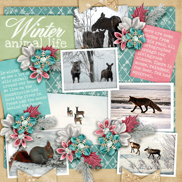 Winter-animal-life