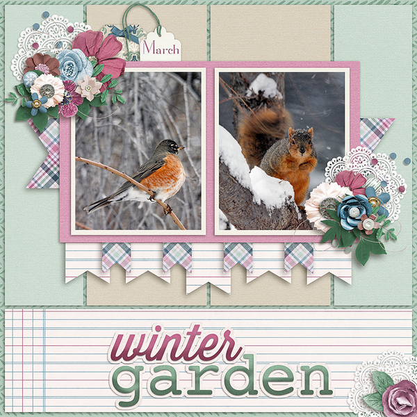 Winter-Animals