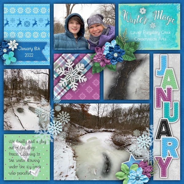 Winter at the Creek