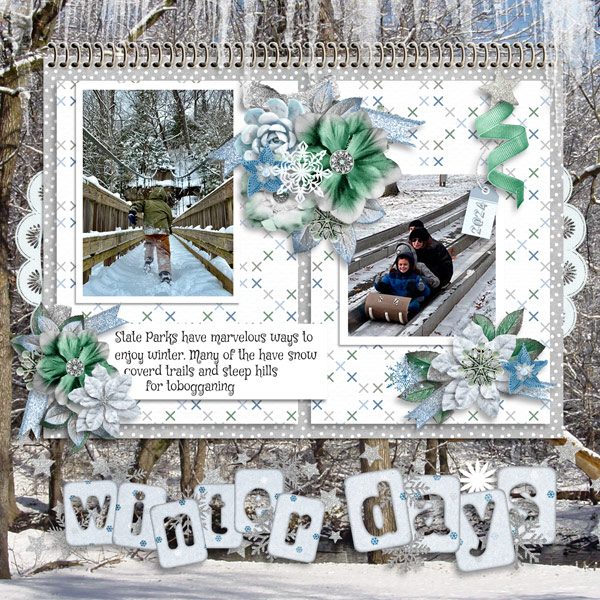 Winter at the Park