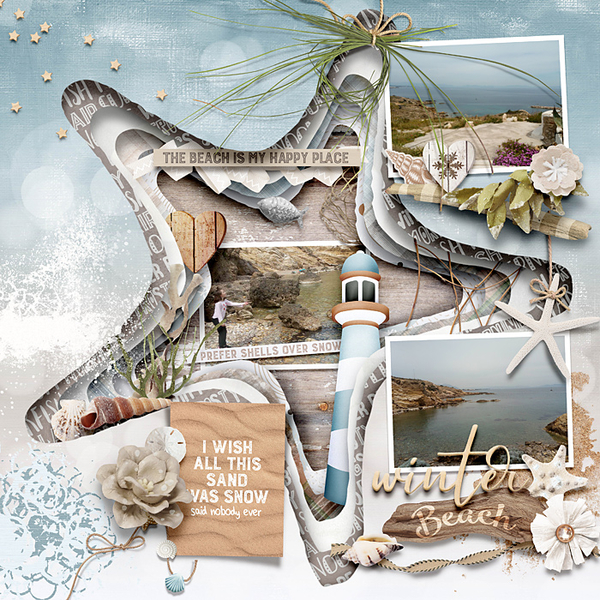 Winter Beach