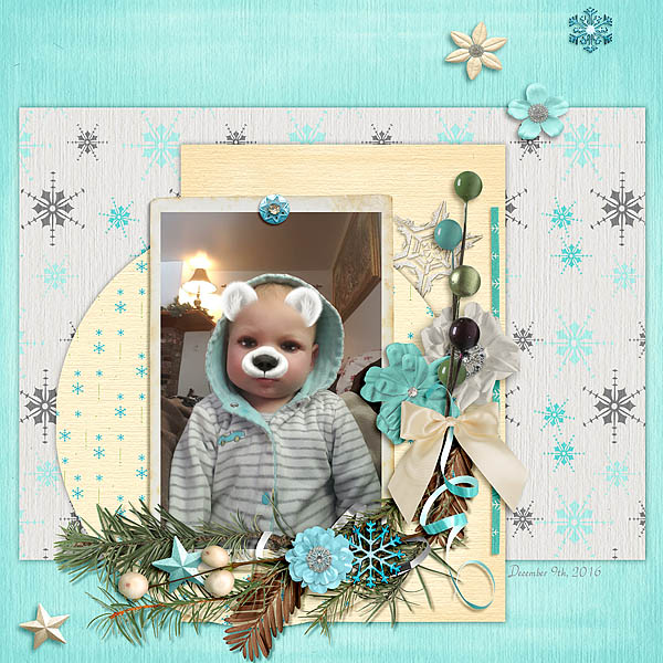 Winter bear