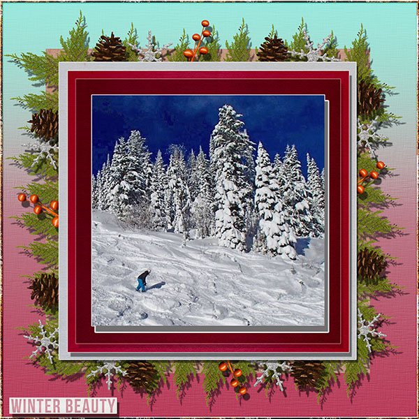 Winter Beauty