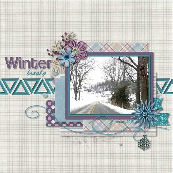 Winter Beauty