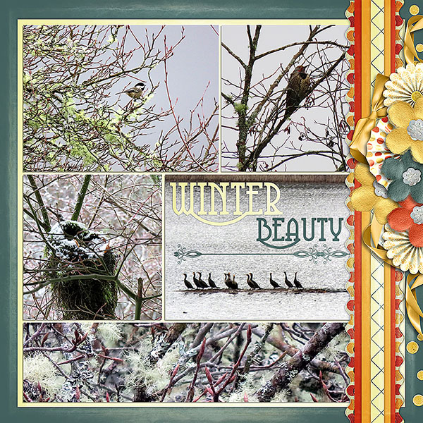 Winter Beauty