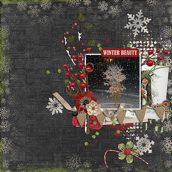 winter beauty