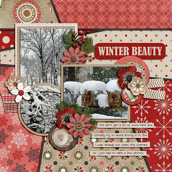 Winter Beauty