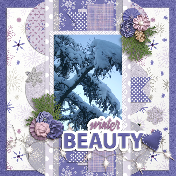 Winter Beauty