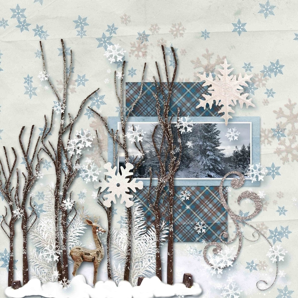 Winter Beauty