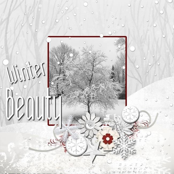 Winter Beauty