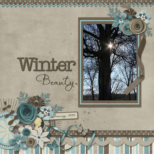 Winter Beauty