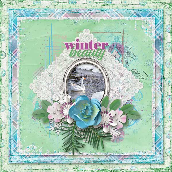 Winter Beauty