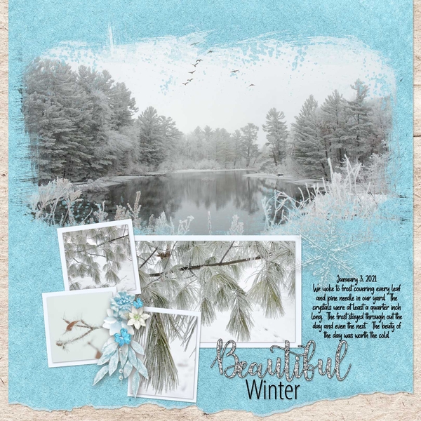 Winter Beauty