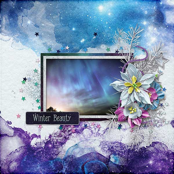 Winter Beauty